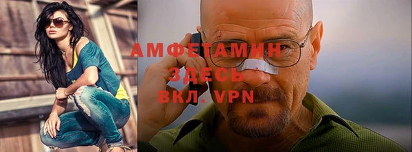 сатива Абинск