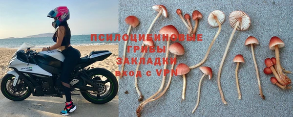 тгк Абдулино