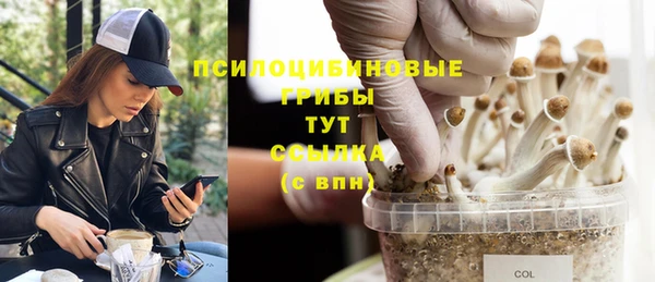 таблы Алексеевка