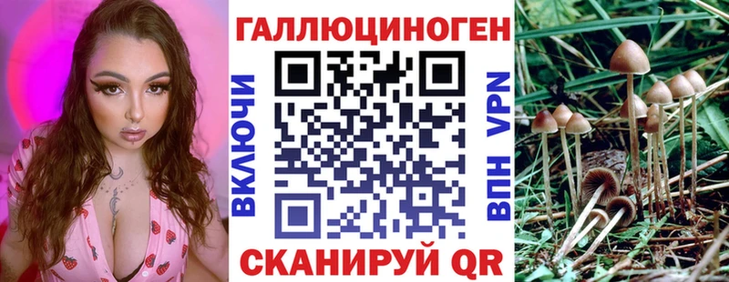 MEGA ONION  что такое наркотик  Нолинск  Псилоцибиновые грибы Magic Shrooms 